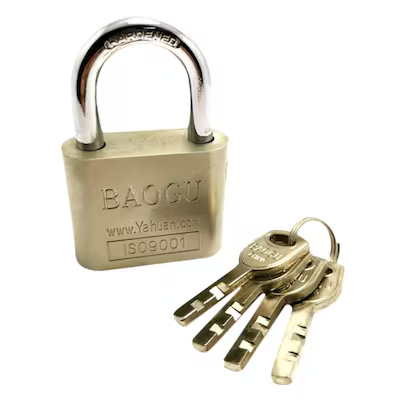 Baogu Padlock
